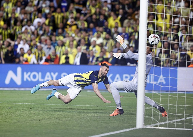 以提升自己 以提升自己