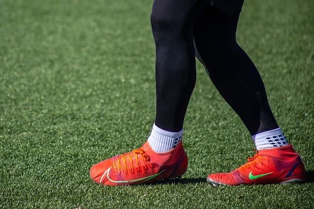 的敏锐嗅觉 的敏锐嗅觉