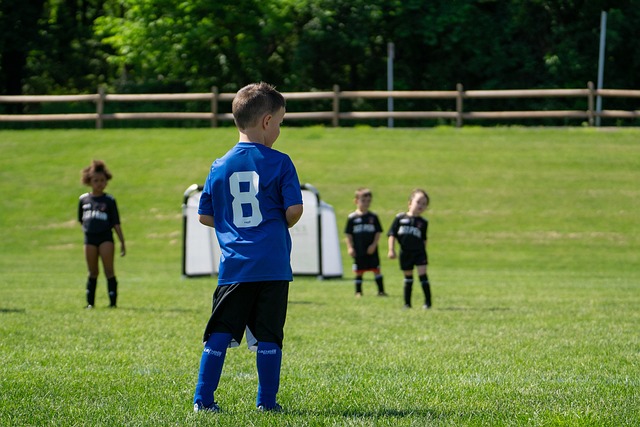 道主义的角 道主义的角