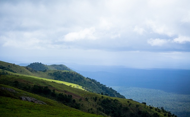 强者恒强的 强者恒强的