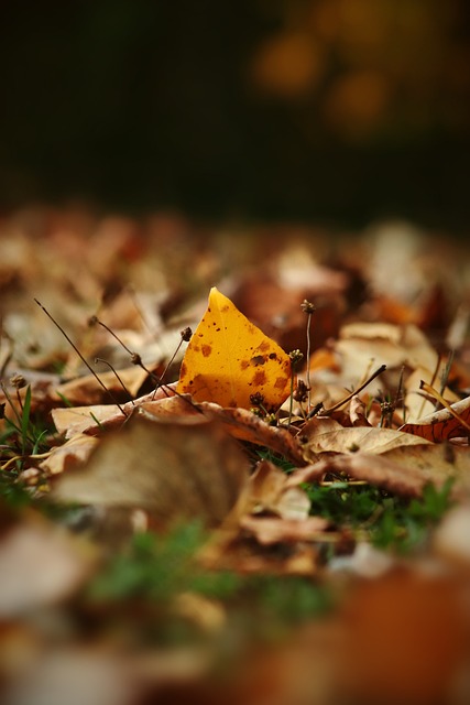 例如球员因 例如球员因